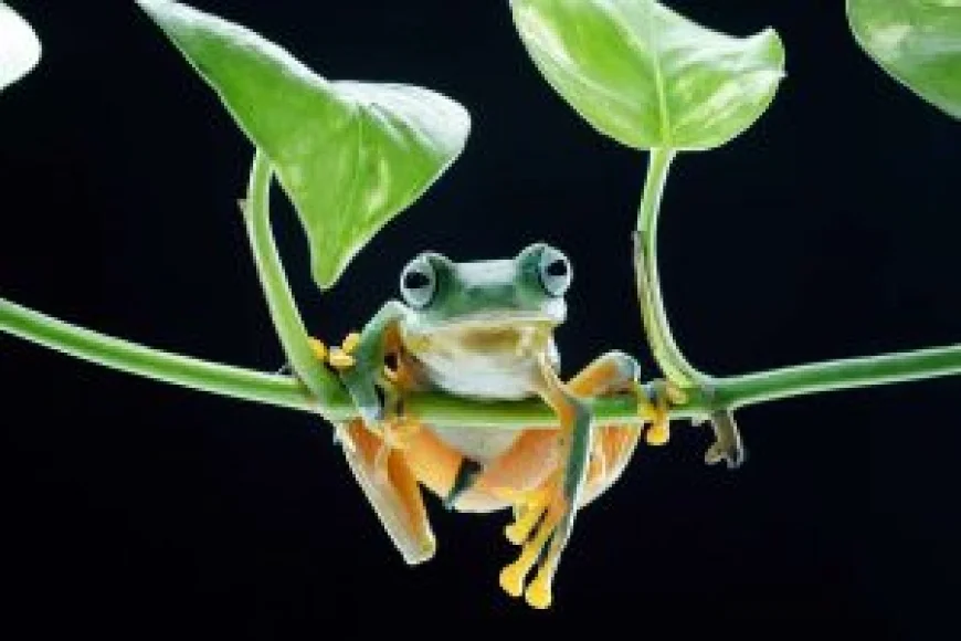 30 Remarkable Award-Winning Macro Photos from the 35 Photography Awards